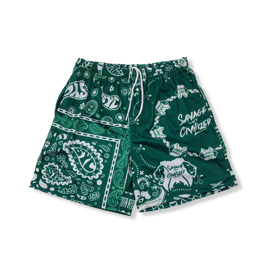 Green SYC Paisleys Mesh Shorts with paisley pattern, elastic waistband, drawstring, and side pockets, breathable lightweight fabric.