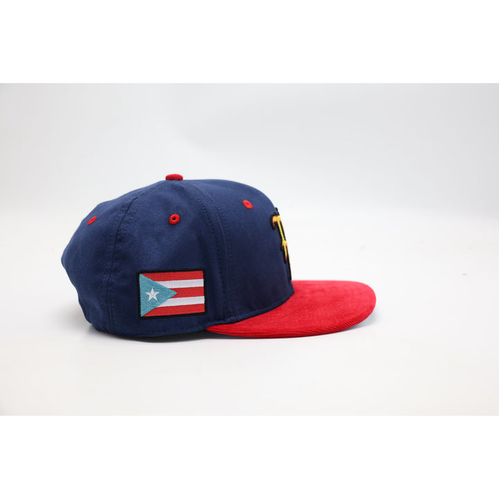 PR Suede Hat with Corduroy Brim