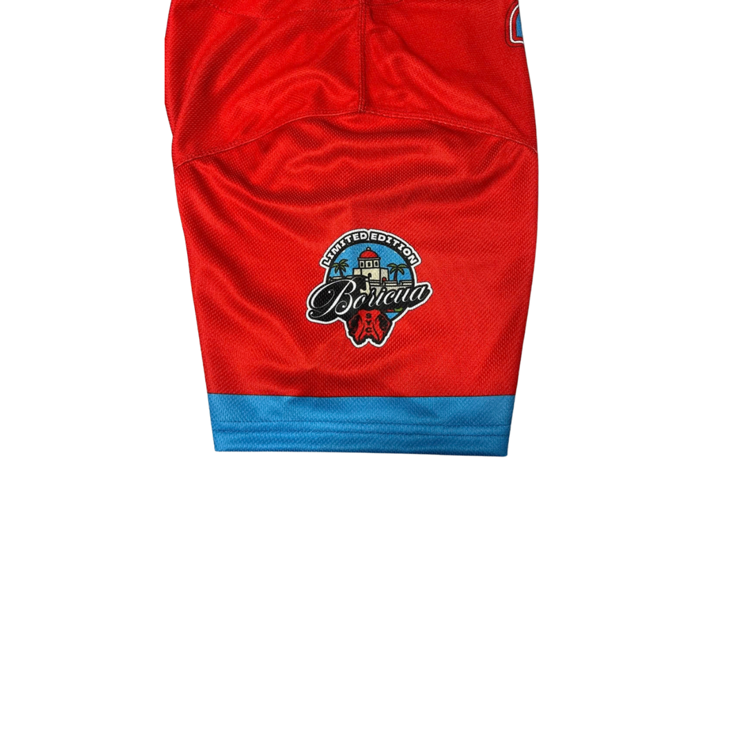 Puerto Rico red & baby blue Mesh Baseball Jersey