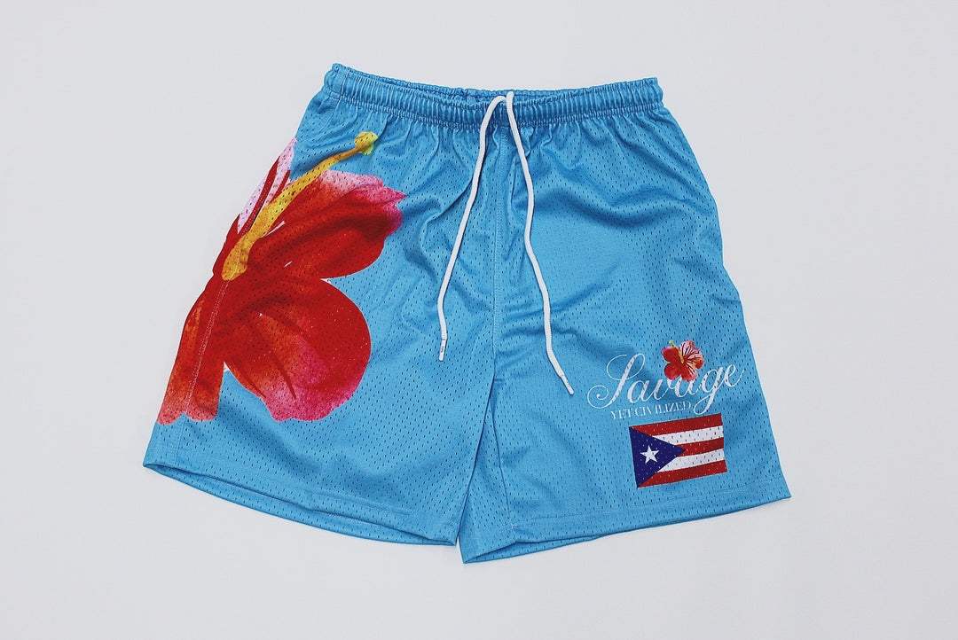 Sky Blue Jersey & Teal Mesh Shorts Bundle