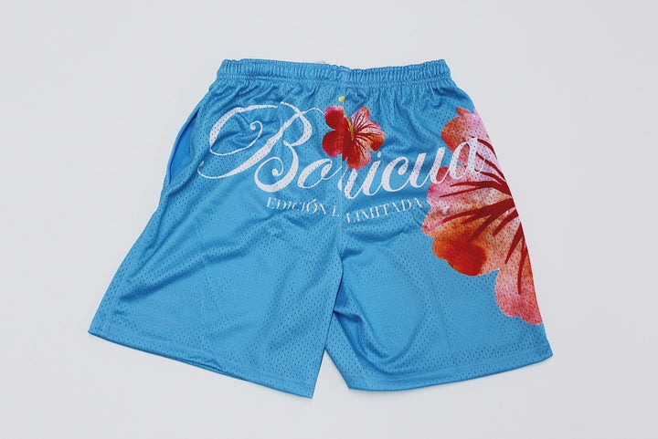 Sky Blue Jersey & Teal Mesh Shorts Bundle