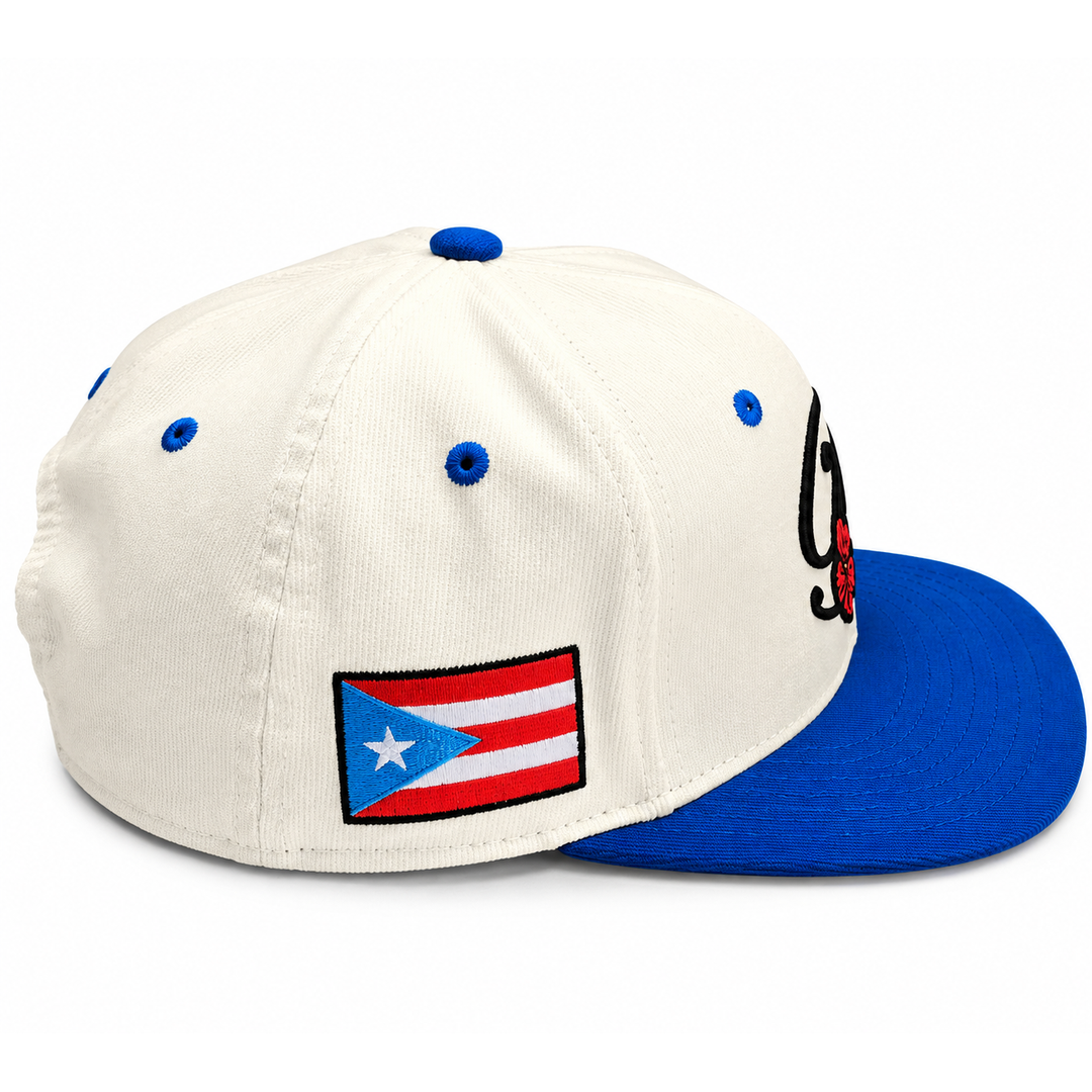 B  Corduroy Hat - royal blue &amp; white