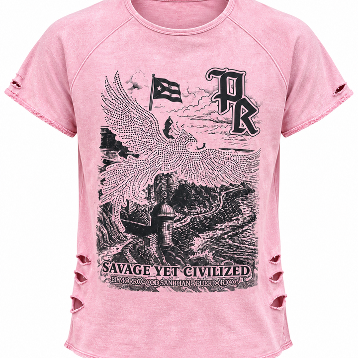 PR "El Morro" Distressed French Terry Tee (pink)