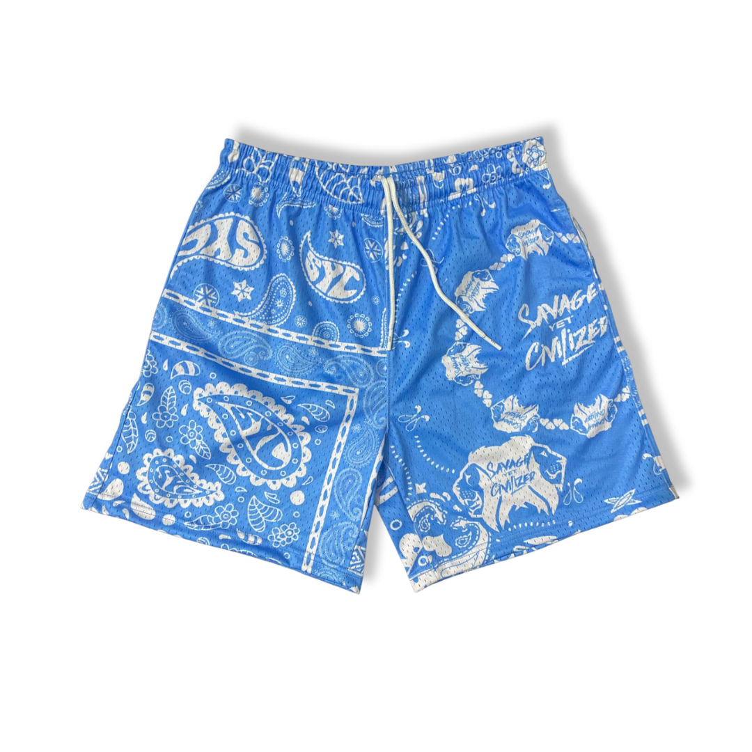 *NEW*SYC Paisleys Mesh Shorts "Carolina Blue"