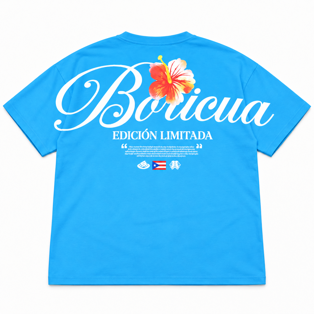 Boricua French Terry Seamless Tee in sky blue – back