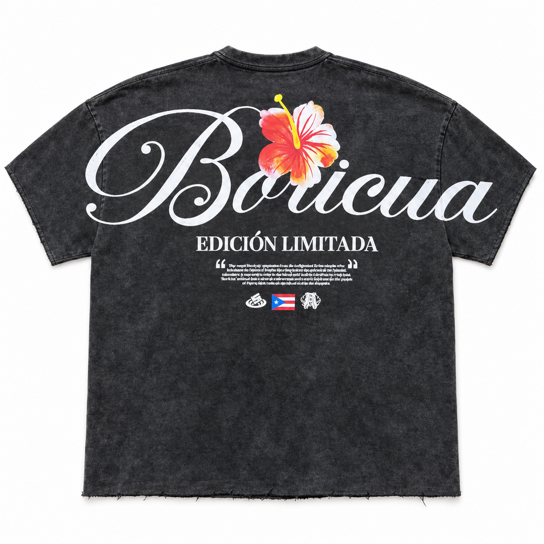 Boricua French Terry Seamless Tee in washed black – back